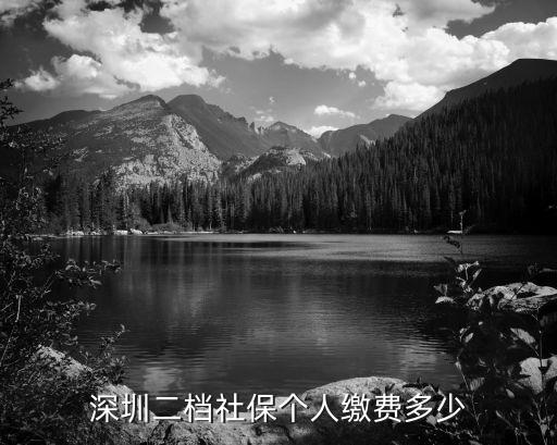 深圳二檔社保個人繳費多少