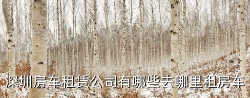 深圳房車租賃公司有哪些去哪里租房車