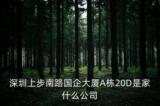 深圳上步南路國企大廈A棟20D是家什么公司