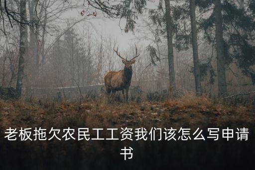 老板拖欠農民工工資我們該怎么寫申請書