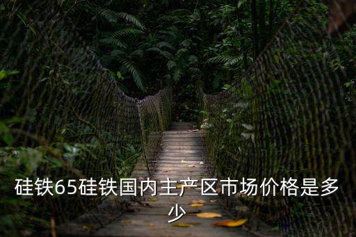 硅鐵65硅鐵國內主產區市場價格是多少
