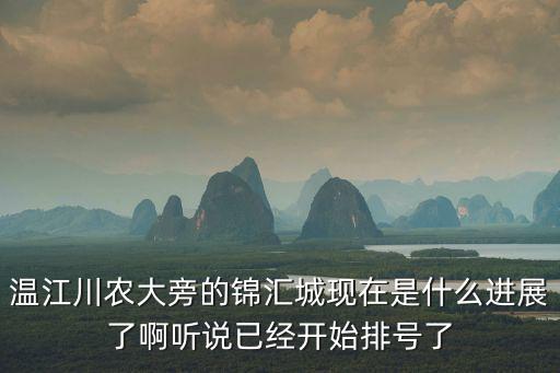 溫江川農大旁的錦匯城現在是什么進展了啊聽說已經開始排號了
