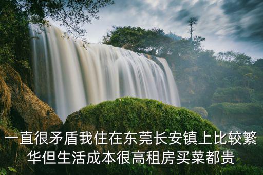 一直很矛盾我住在東莞長(zhǎng)安鎮(zhèn)上比較繁華但生活成本很高租房買菜都貴