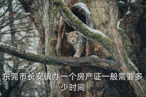 東莞市長安鎮辦一個房產證一般需要多少時間
