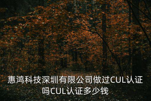 惠鴻科技深圳有限公司做過CUL認證嗎CUL認證多少錢
