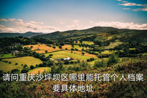 請(qǐng)問(wèn)重慶沙坪壩區(qū)哪里能托管個(gè)人檔案要具體地址