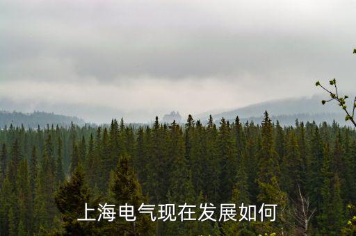 上海市燃?xì)獍l(fā)展規(guī)劃，上海電氣現(xiàn)在發(fā)展如何