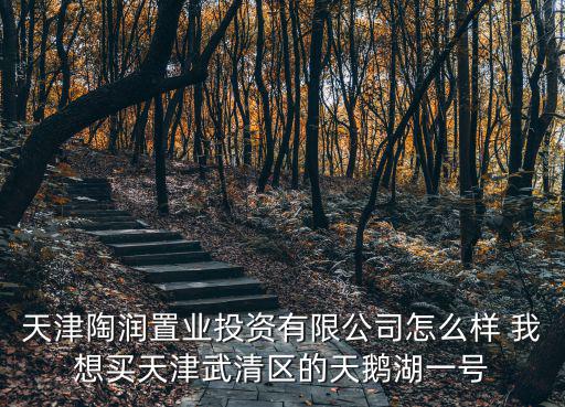 天津陶潤置業投資有限公司怎么樣 我想買天津武清區的天鵝湖一號