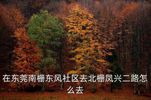 在東莞南柵東風社區去北柵鳳興二路怎么去