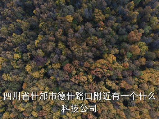 四川省什邡市德什路口附近有一個什么科技公司