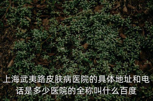 上海武夷路皮膚病醫院的具體地址和電話是多少醫院的全稱叫什么百度