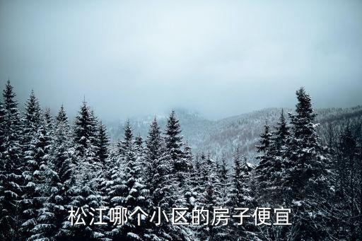 松江哪個小區的房子便宜