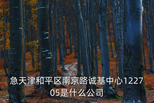 急天津和平區南京路誠基中心122705是什么公司