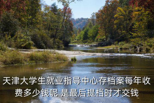 天津大學生就業指導中心存檔案每年收費多少錢呢 是最后提檔時才交錢