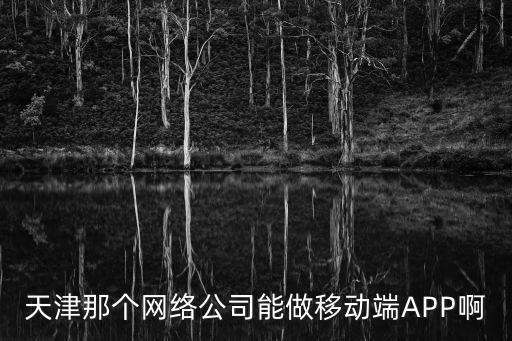 天津那個網絡公司能做移動端APP啊