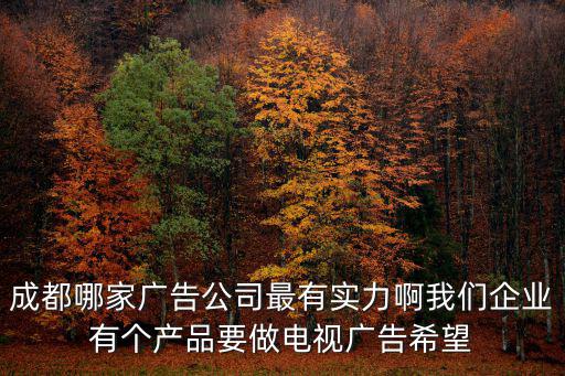 成都哪家廣告公司最有實力啊我們企業有個產品要做電視廣告希望