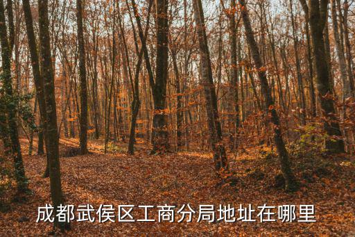 成都武侯區工商分局地址在哪里