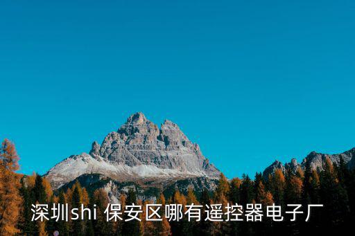 深圳shi 保安區哪有遙控器電子廠