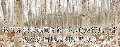 我在東莞莞城向陽路不小心逆行幾十米怎么辦有違章拍照嗎急急