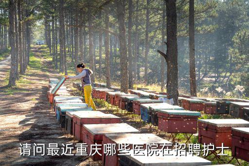 請問最近重慶哪些醫院在招聘護士