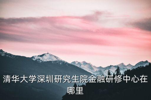 清華大學(xué)深圳研究生院金融研修中心在哪里