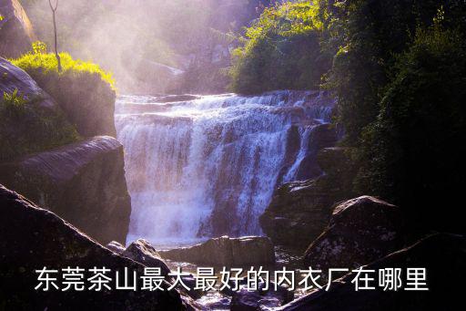 東莞茶山大型大型企業(yè)，東莞有那些大型的知名的制衣廠