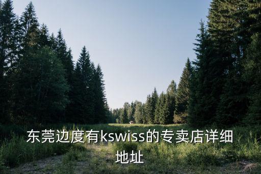 東莞卡薩帝，東莞邊度有kswiss的專賣店詳細地址