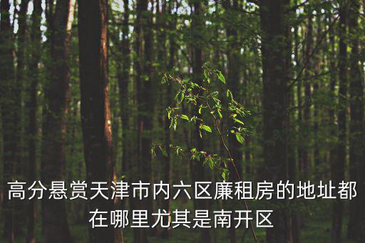 高分懸賞天津市內(nèi)六區(qū)廉租房的地址都在哪里尤其是南開區(qū)
