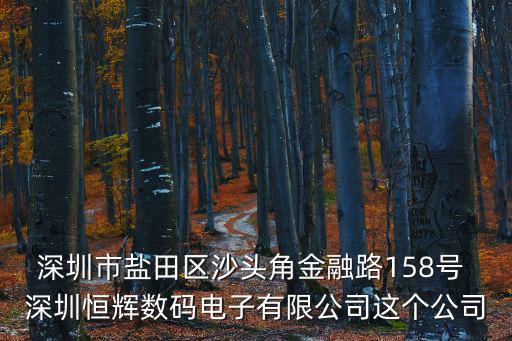 深圳市鹽田區沙頭角金融路158號 深圳恒輝數碼電子有限公司這個公司