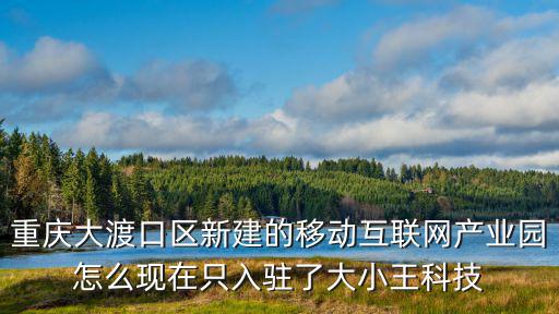 重慶市數(shù)字產(chǎn)業(yè)園現(xiàn)狀，重慶市沙坪壩區(qū)it產(chǎn)業(yè)園