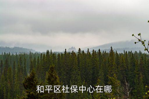 和平區(qū)社保中心在哪