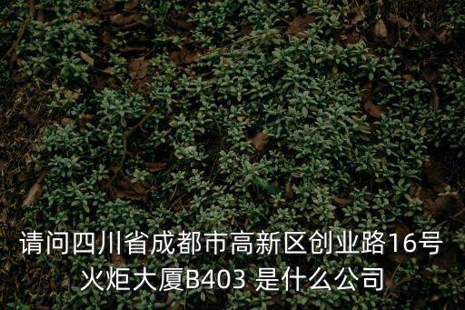 請問四川省成都市高新區創業路16號火炬大廈B403 是什么公司
