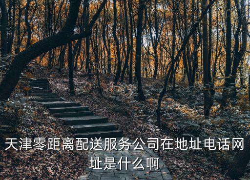 天津零距離配送服務公司在地址電話網址是什么啊
