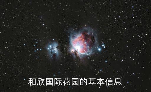 和欣國際花園的基本信息