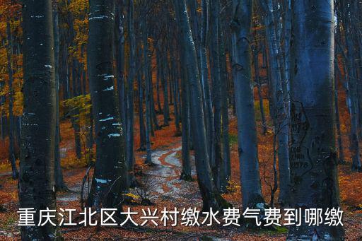 重慶江北區大興村繳水費氣費到哪繳