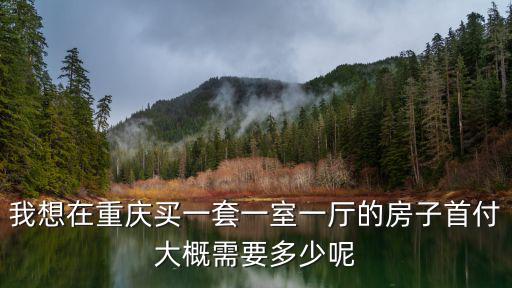 我想在重慶買一套一室一廳的房子首付大概需要多少呢