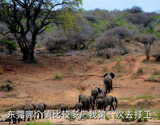東莞哪個(gè)鎮(zhèn)比較多廠我第一次去打工