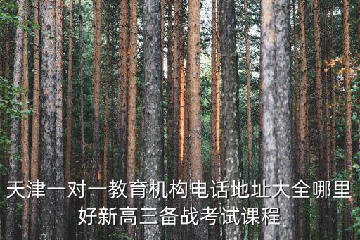 天津一對一教育機構(gòu)電話地址大全哪里好新高三備戰(zhàn)考試課程