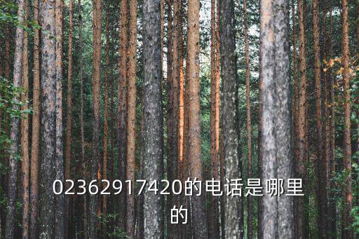 重慶市彈子石富力現(xiàn)代廣場物管電話，02362917420的電話是哪里的
