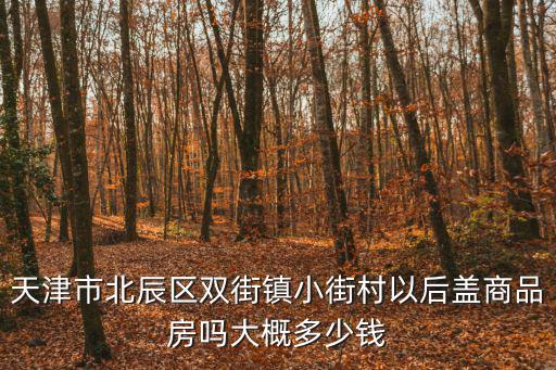 天津市北辰區雙街鎮小街村以后蓋商品房嗎大概多少錢