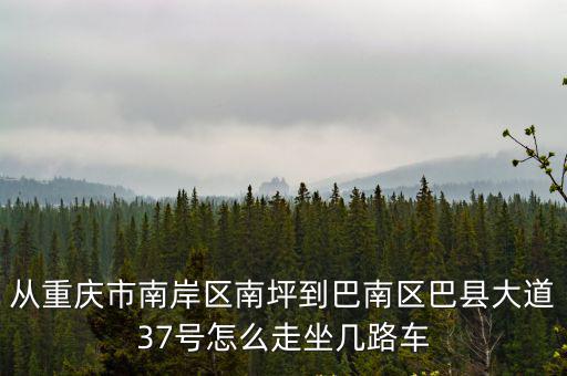 從重慶市南岸區南坪到巴南區巴縣大道37號怎么走坐幾路車