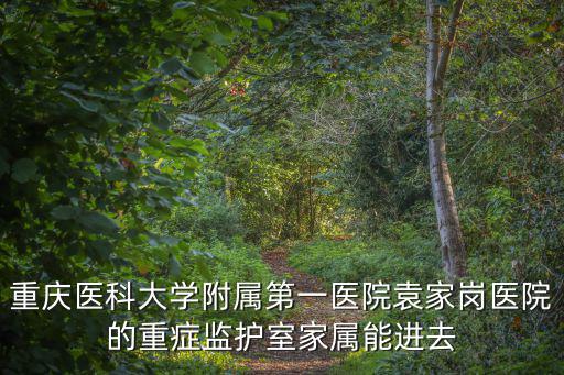 重慶醫科大學附屬第一醫院袁家崗醫院的重癥監護室家屬能進去