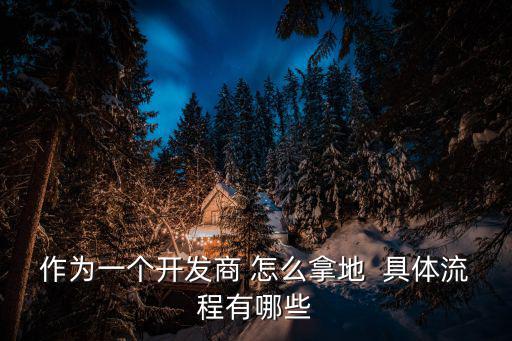 作為一個開發(fā)商 怎么拿地  具體流程有哪些