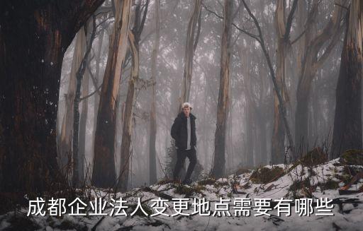 成都企業(yè)法人變更地點需要有哪些