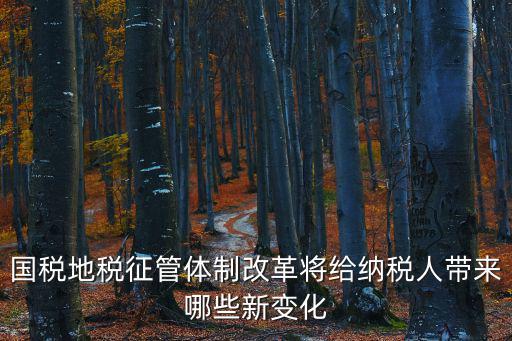 國稅地稅征管體制改革將給納稅人帶來哪些新變化