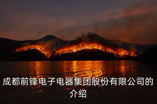 成都市前鋒電子電器有限公司，成都前鋒電子電器集團(tuán)股份有限公司的介紹