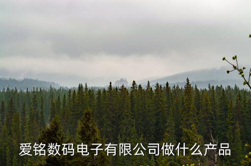 東莞愛銘倒閉了么，東莞愛銘數(shù)碼電子廠倒閉了嗎有沒有人知道