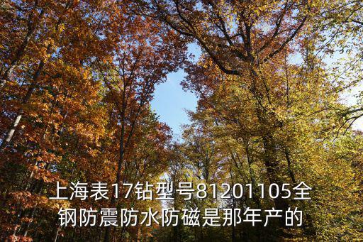 上海表17鉆型號81201105全鋼防震防水防磁是那年產的
