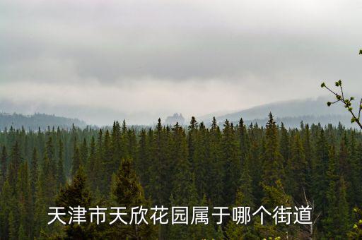 天津市天欣花園屬于哪個街道