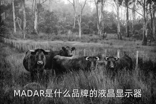 MADAR是什么品牌的液晶顯示器